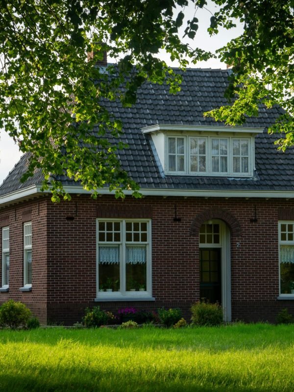 pexels-freek-wolsink-508219-27349863 pexels-freek-wolsink-508219-27349863